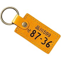 61u6ef+YlUL._AC_UL210_SR210,